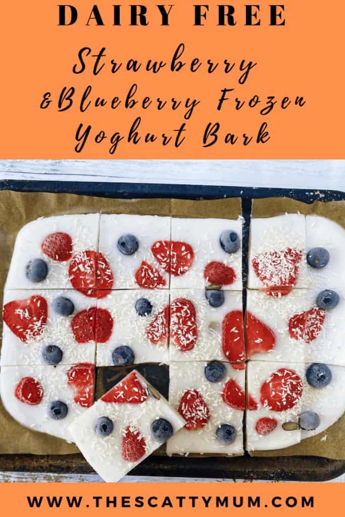 Dairy Free Stawberry & Blueberry Frozen Yoghurt Bark