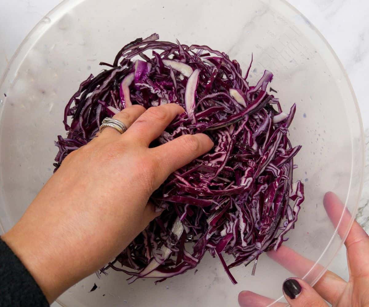 Shredded red cabbage being mixed in a bowl with hands.