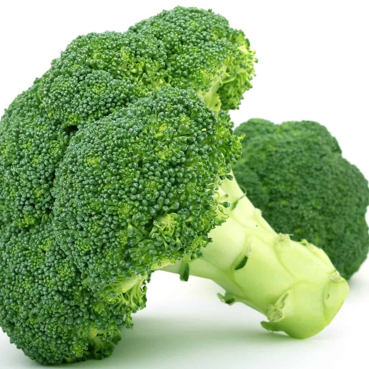 Broccoli.