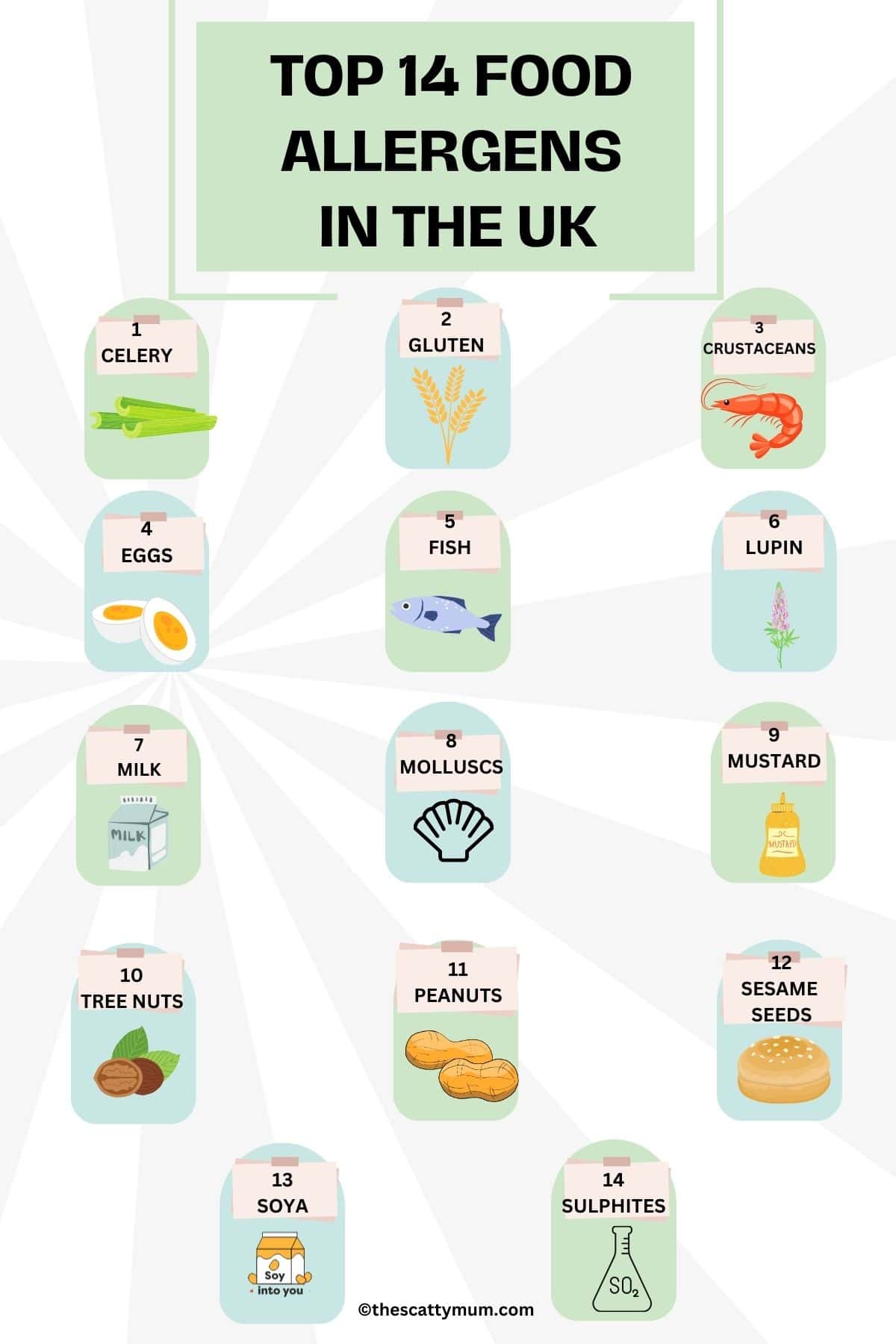 Infographic showing the top 14 food allergens in the UK.