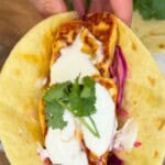 Close up of a halloumi taco garnished with yoghurt and coriander.