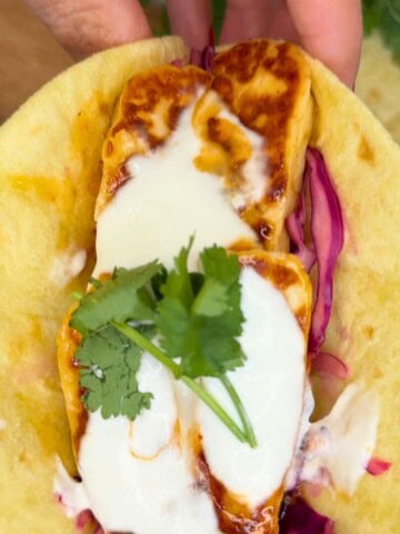 Close up of a halloumi taco garnished with yoghurt and coriander.