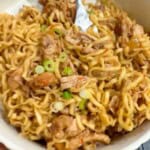 A bowl of chicken noodles.