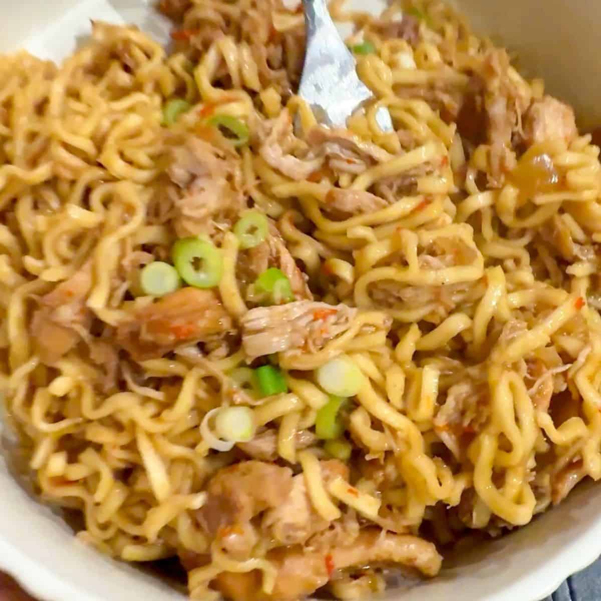 A bowl of chicken noodles.