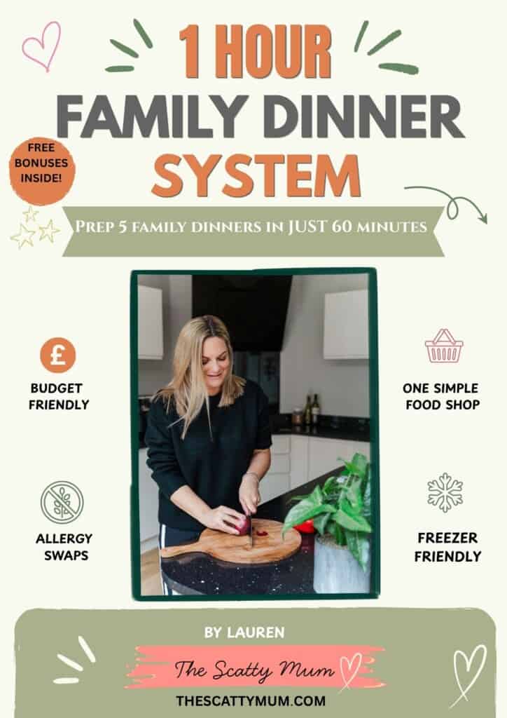 Front page of one hour family dinner system digital e-book.